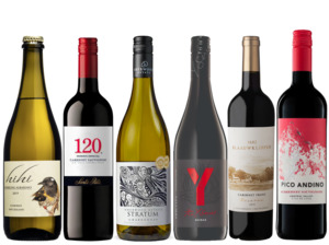 Wines 20 30: Southern Hemisphere Six