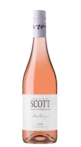 Allan Scott: Allan Scott Marlbourgh Rose 2023