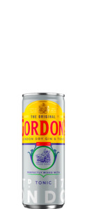 Gordon's Gin & Tonic (12x 250ml Cans)