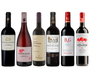 Mixed Case: European Reds Premium 6