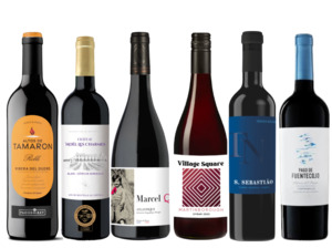 Mixed Case: European Reds Discovery 6