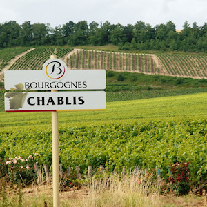 Chablis Explorers 6-Pack