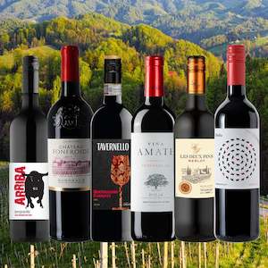 Mixed Red Cases: The Best Ever European Value Reds Mix