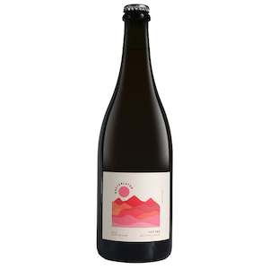 Natural Wine: Bryterlater Petina Pet Nat 2024