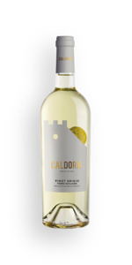 Caldora Pinot Grigio D'Abruzzo 2024
