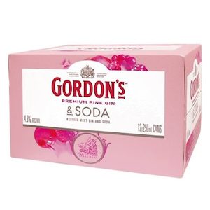 Winespot Target Road » Gordon’s Pink 12 Pack 250ml Cans