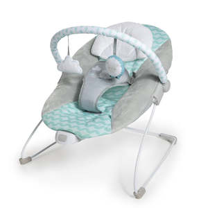 Ity by Ingenuity Bouncity Bounce Vibrating Deluxe Bouncer