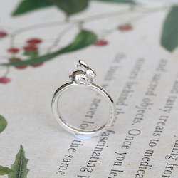 Rabbit Ring