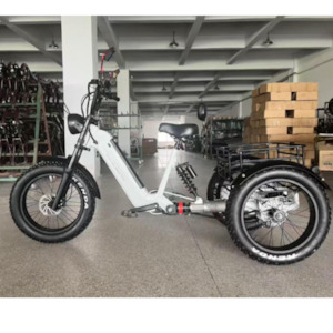 Electric Trike: Electric Swing Trike More Balanced Riding 3 year warranty  and FREE Shipping