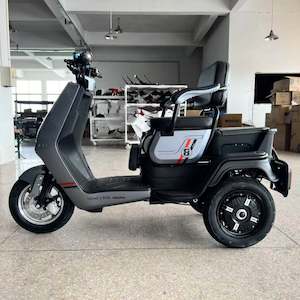 E-Mobility Trike M-2 Silver Grey 3 year warranty