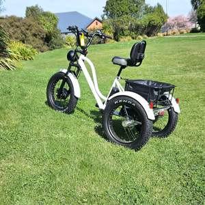 E-Trike T1 - White STOCK DUE 7th MAY