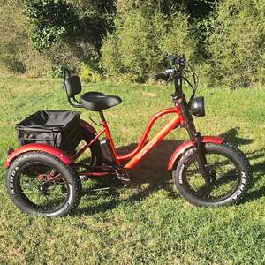 Electric Trike: E-Trike T1 - Red