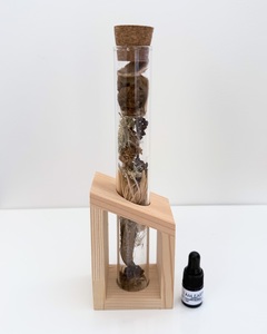 I AM EARTH - Botanical Scent Diffuser With Energy