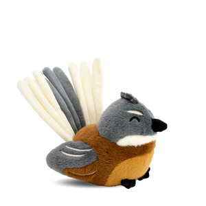 Baby: Piri the Piwakawaka