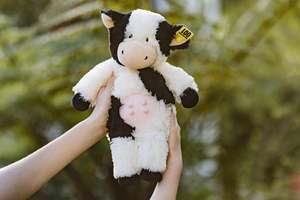 Baby: Daisy the Dairy Cow