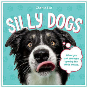 Homewares: Silly Dogs