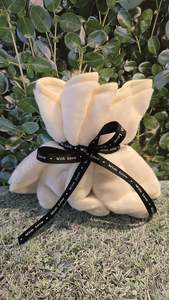 Accessories: Microfiber Reusable Makeup Removing Cloths (5 Pieces)