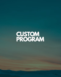 CUSTOM PROGRAM DESIGN