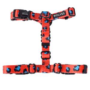 Cleo All Purpose Harness 2.0