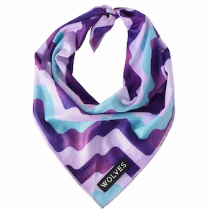 Dog Bandanas: Sulley Bandana