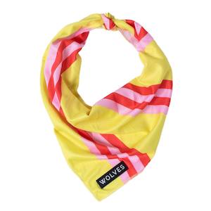 Dog Bandanas: Penny Bandana