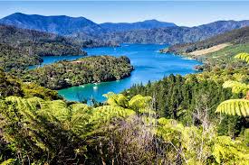 Queen Charlotte Track – March 27th to 31st 2026 Women's Adventure NZ