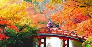 Products: Japan Nov 2nd to Nov 20th 2026 Women's Adventure NZ
