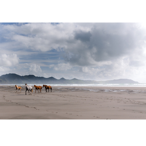 Products: Wild Stroll No.1 - Wonderbird - Photography & Design Studio