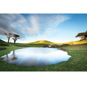 Products: Water & Light - Wonderbird - Photography & Design Studio