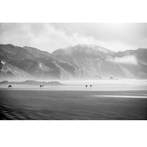 Products: Misty Stroll - Wonderbird - Photography & Design Studio