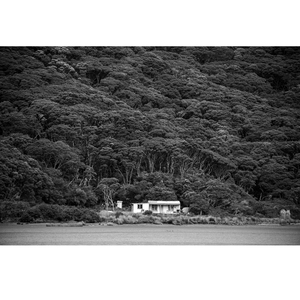 Products: Space to Self - Wonderbird - Photography & Design Studio