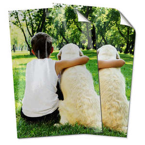 Posters: 20x30" Poster Print