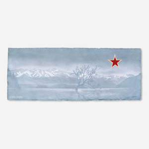 Originals: Framed Wanaka Tree Seachange Corner Star