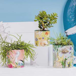 Oceanic Paradiso Planter Pot