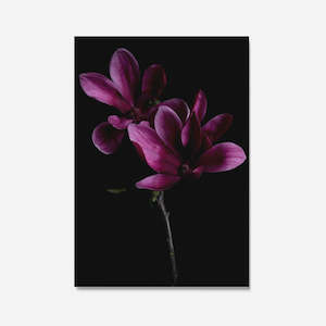 Just South West: Magnolia Velvet Print A3