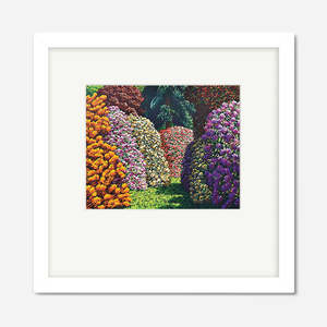 Framed Print | Cambridge