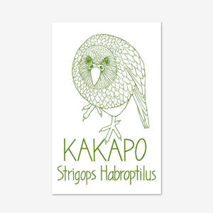 Tea Towel | Kakapo