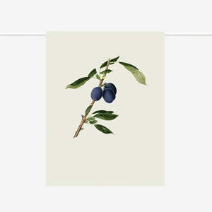 Drink Serve: Tea Towel | Plums