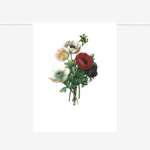 Drink Serve: Tea Towel | Anemone