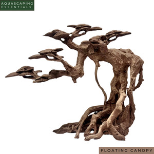 Products: Resin Bonsai Tree - Floating Canopy