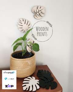 Indoor Plant Climbers (set of 5)