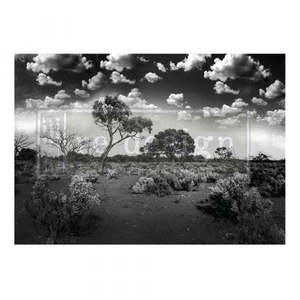 Serene Wilderness - ReDesign A1 Mulberry Paper