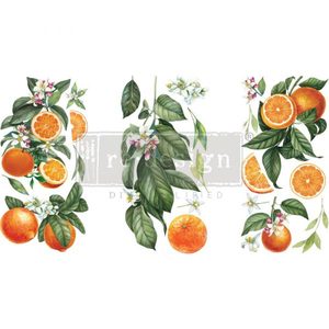 Redesign Small Transfers: ReDesign Transfer -  Citrus Slice