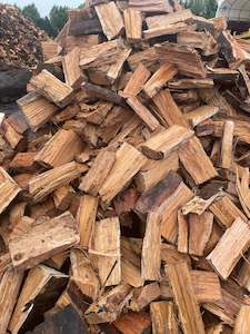 Firewood: Gum 2026