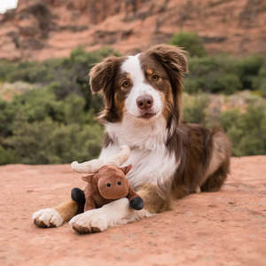 All: P.L.A.Y. Safari | Buffalo Dog Toy