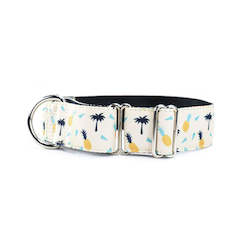 Martingale Collars: Kokomo Martingale Dog Collar