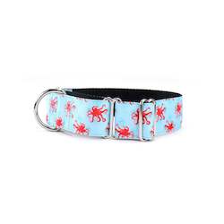 Martingale Collars: Sea-legs Martingale Dog Collar