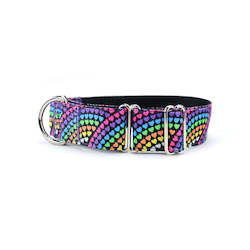 Martingale Collars: Rainbow Love Martingale Dog Collar