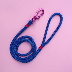 The Classic Collection: Pink & Electric Blue Rope Dog Leash