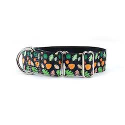 Martingale Collars: Fall Colours Martingale Dog Collar